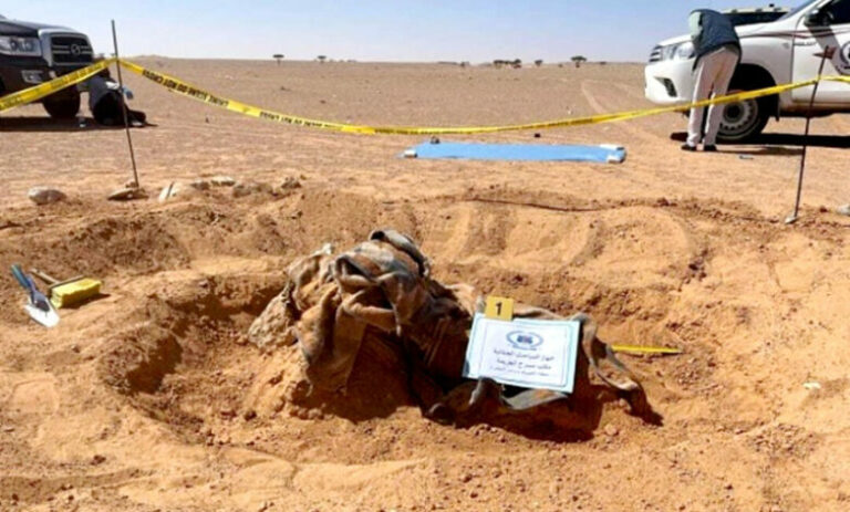 مقبرة جماعية على الحدود بين ليبيا و تونس..الأمم المتحدة تدعو لفتح تحقيق في التقارير