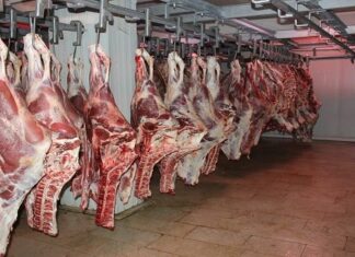 إجراءات لتعديل عرض اللحوم الحمراء استعدادًا لشهر رمضان وعيد الأضحى