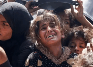 ارتفاع ضحايا التجويع في غزة إلى 393 شهيدًا وحذر أممي من تفاقم المجاعة