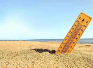 طقس مستقر مع سحب قليلة وحرارة صيفية معتدلة