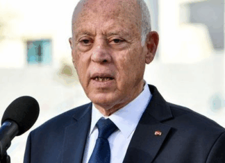 قيس سعيّد: تحرّك دبلوماسي مكثّف لضمان عودة التونسيين المحتجزين وتجديد دعم تونس الثابت لفلسطين