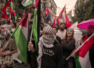 إضراب احتجاجي حاشد في إيطاليا دعماً لأسطول الصمود العالمي وتضامناً مع غزة