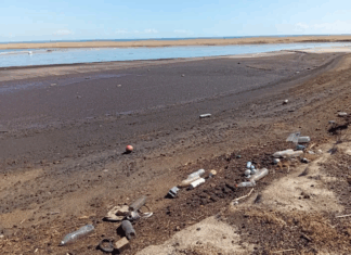 قابس في يوم غضب بيئي بسبب الانبعاثات السامّة