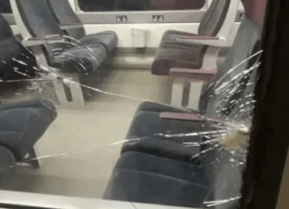 مجهولون يرشقون قطار باجة بالحجارة.. إصابتان في صفوف الركاب مجهولون يرشقون قطار باجة بالحجارة.. إصابتان في صفوف الركاب