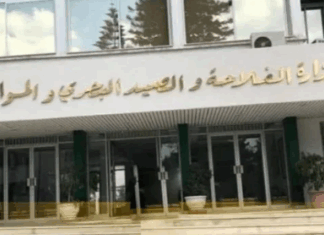 وزارة الفلاحة تعلن مناظرة خارجية لانتداب 234 مهندساً أول وزارة الفلاحة تعلن مناظرة خارجية لانتداب 234 مهندساً أول لسنة 2025