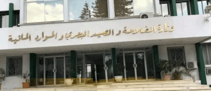 وزارة الفلاحة تعلن مناظرة خارجية لانتداب 234 مهندساً أول لسنة 2025