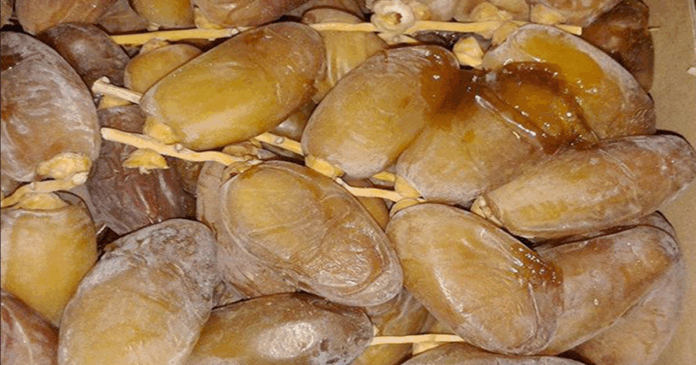 خيمة لبيع التمور التونسية بأسعار تفاضلية في شارع الحبيب بورقيبة حتى 7 ديسمبر