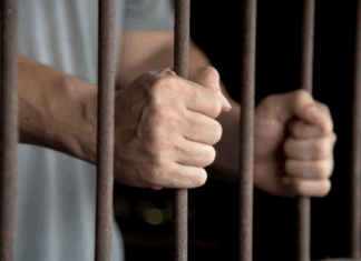 السجن لإطارات وأعوان بمؤسسة مالية عمومية بسبب شبكة تحيل إلكتروني السجن لإطارات وأعوان بمؤسسة مالية عمومية بسبب شبكة تحيل إلكتروني