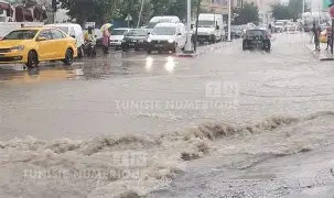 أمطار متفاوتة في جهات البلاد خلال الـ24 ساعة الماضية أمطار متفاوتة في جهات البلاد خلال الـ24 ساعة الماضية