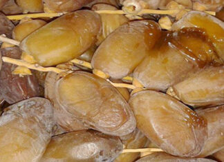 خيمة لبيع التمور التونسية بأسعار تفاضلية في شارع الحبيب بورقيبة حتى 7 ديسمبر خيمة لبيع التمور التونسية بأسعار تفاضلية في شارع الحبيب بورقيبة حتى 7 ديسمبر