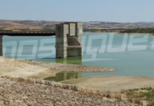 سدود الشمال التونسي تتعزّز بـ51 مليون متر مكعب من المياه خلال الأيام الأولى من ديسمبر سدود الشمال التونسي تتعزّز بـ51 مليون متر مكعب من المياه خلال الأيام الأولى من ديسمبر