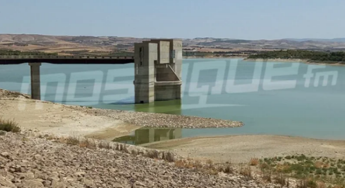 سدود الشمال التونسي تتعزّز بـ51 مليون متر مكعب من المياه خلال الأيام الأولى من ديسمبر