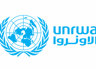 الأمم المتحدة تعتمد قرارًا يطالب إسرائيل بالانسحاب الكامل من الجولان السوري المحتل الأمم المتحدة تعتمد قرارًا يطالب إسرائيل بالانسحاب الكامل من الجولان السوري المحتل