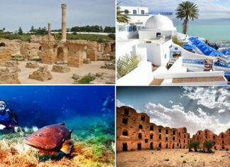 وزير السياحة: الإعلام شريك أساسي في ترسيخ مكانة تونس كوجهة سياحية عربية ودولية وزير السياحة: الإعلام شريك أساسي في ترسيخ مكانة تونس كوجهة سياحية عربية ودولية