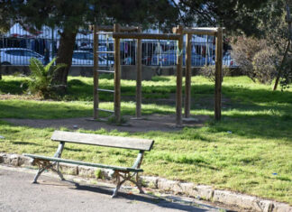 لغز جثة “حديقة الباساج”: قاضي التحقيق يباشر البحث في شبهة جريمة قتل بالعاصمة