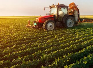 تمويل استثنائي بـ12 مليون دينار لدعم فلاحي الخضروات المتضررين من الأمطار