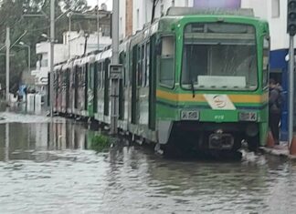 شركة النقل بتونس تعتمد الحافلات كحلّ مؤقت إثر توقّف حركة المترو بمحطة تونس البحرية