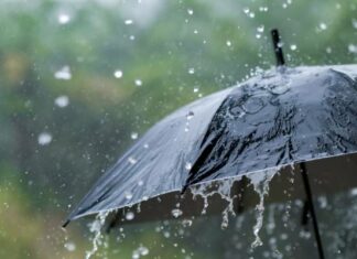 أمطار رعدية ورياح قوية : تقلبات جوية مرتقبة في عدة ولايات تونسية