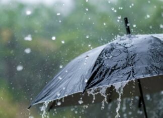 أحوال الطقس : رياح قوية وبحر هائج وارتفاع طفيف في الحرارة