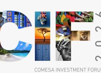 قفزة قياسية للاستثمارات الأجنبية في الكوميسا: 65 مليار دولار تعزّز مكانة شرق وجنوب إفريقيا عالميا