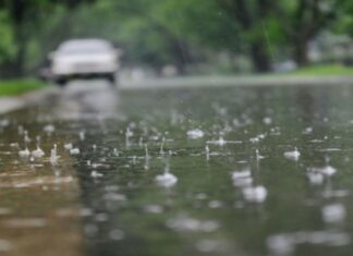 طقس اليوم : ضباب صباحي وأمطار خفيفة بعد الظهر مع رياح قوية نسبيا