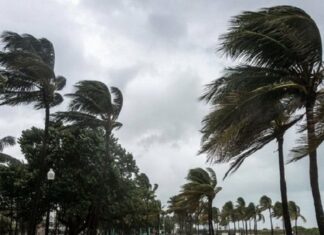 طقس اليوم: أمطار رعدية ورياح قوية بالجنوب مع دواوير رملية