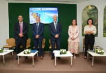 «Easy Export» : نحو مسار تصدير أبسط للمؤسسات والحرفيين وأصحاب المشاريع